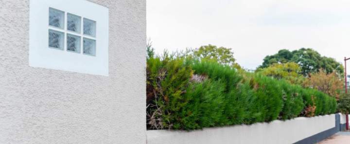 Ravalement de façade et peinture Clermont-Ferrand